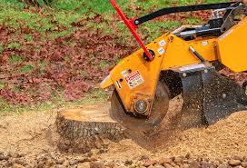 Best Leaf Removal  in Las Flores, CA